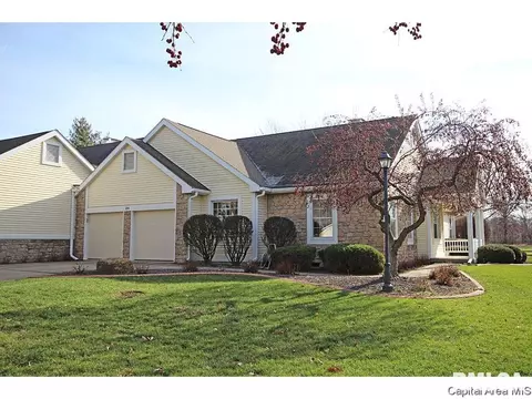 24 Chimney View Ln, Springfield, IL 62707 photo 1