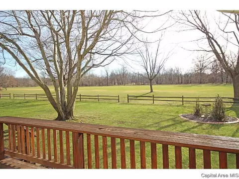 24 Chimney View Ln, Springfield, IL 62707 photo 33
