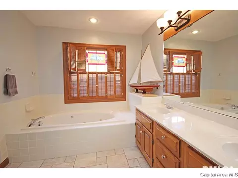 24 Chimney View Ln, Springfield, IL 62707 photo 22