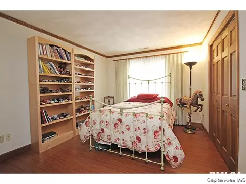 24 Chimney View Ln, Springfield, IL 62707 photo 18