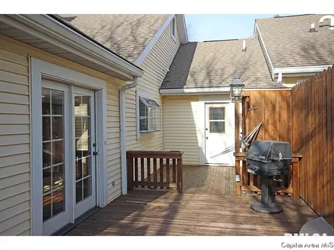 24 Chimney View Ln, Springfield, IL 62707 photo 32
