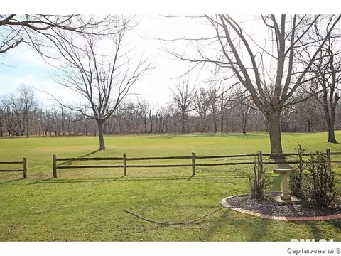 24 Chimney View Ln, Springfield, IL 62707 photo 35