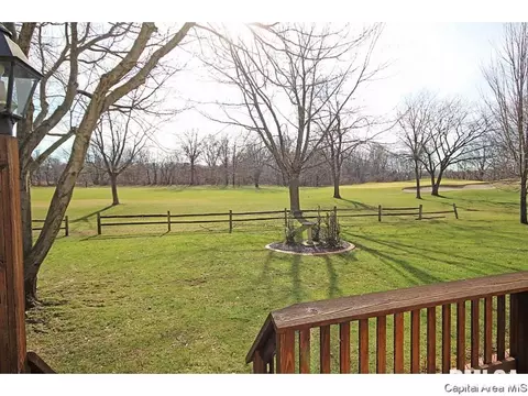 24 Chimney View Ln, Springfield, IL 62707 photo 29