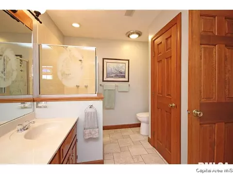 24 Chimney View Ln, Springfield, IL 62707 photo 23