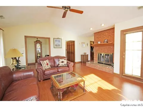 24 Chimney View Ln, Springfield, IL 62707 photo 4