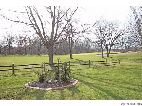 24 Chimney View Ln, Springfield, IL 62707 photo 34