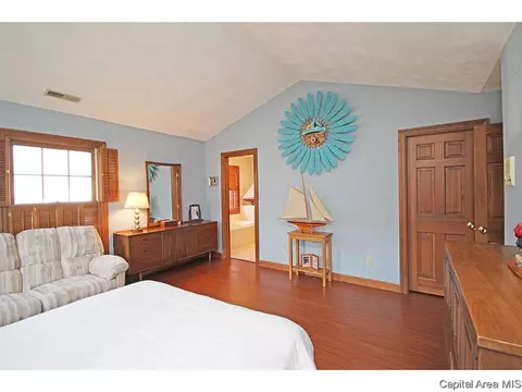 24 Chimney View Ln, Springfield, IL 62707 photo 17