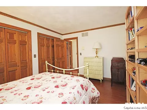 24 Chimney View Ln, Springfield, IL 62707 photo 19