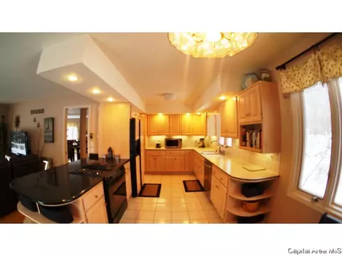 41 Frontier Lake Dr, Springfield, IL 62707 photo 29