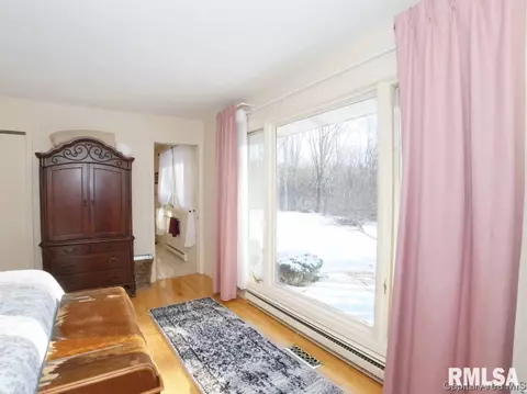 41 Frontier Lake Dr, Springfield, IL 62707 photo 19