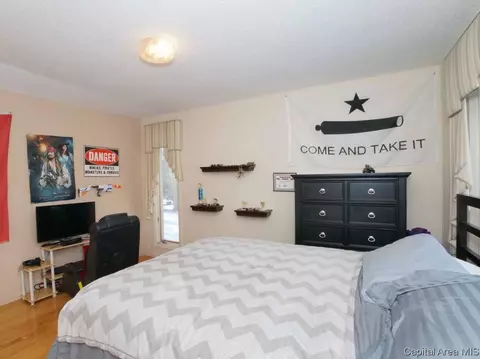 41 Frontier Lake Dr, Springfield, IL 62707 photo 22