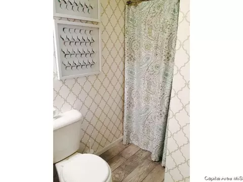 1109 Rutledge, Springfield, IL 62702 photo 18
