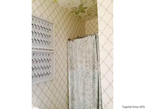 1109 Rutledge, Springfield, IL 62702 photo 19