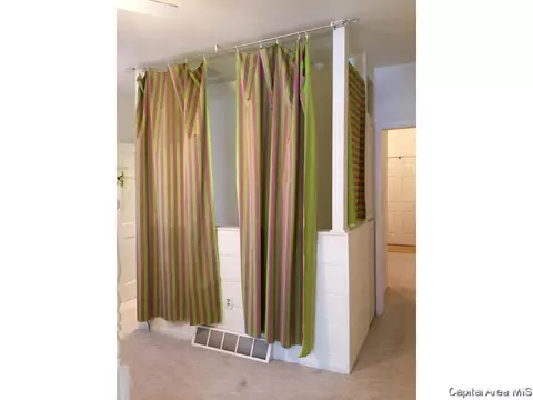 1109 Rutledge, Springfield, IL 62702 photo 26