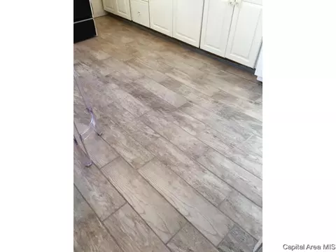 1109 Rutledge, Springfield, IL 62702 photo 16