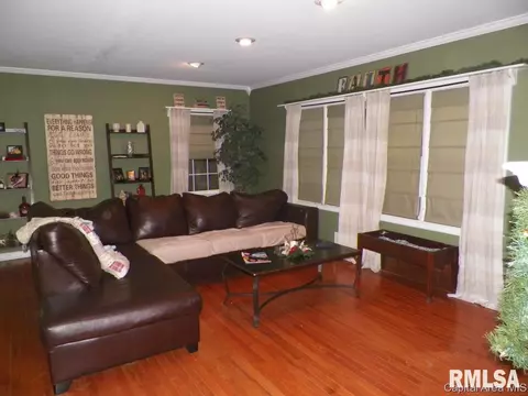 305 W Jackson St, Abingdon, IL 61410 photo 5