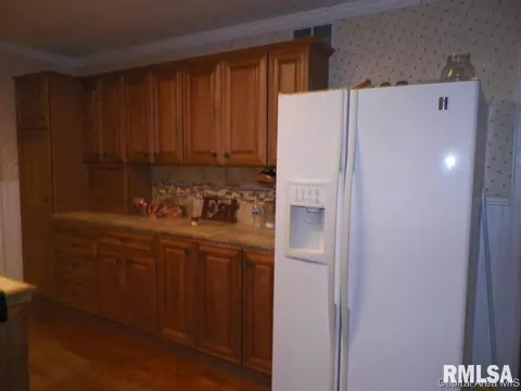 305 W Jackson St, Abingdon, IL 61410 photo 11