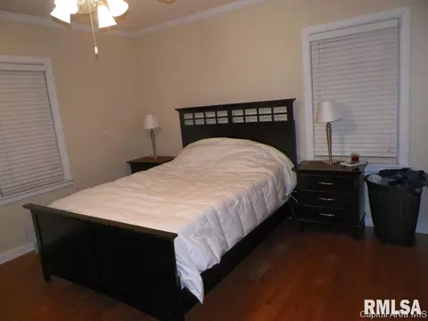 305 W Jackson St, Abingdon, IL 61410 photo 13