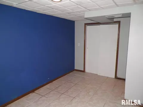 305 W Jackson St, Abingdon, IL 61410 photo 23