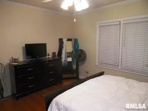 305 W Jackson St, Abingdon, IL 61410 photo 14