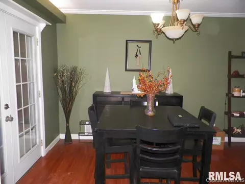 305 W Jackson St, Abingdon, IL 61410 photo 8
