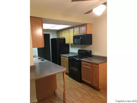 8 Sycamore Row, Springfield, IL 62702 photo 11