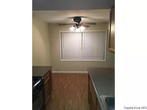 8 Sycamore Row, Springfield, IL 62702 photo 4