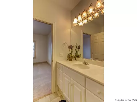 2719 Amelia Ct, Springfield, IL 62711 photo 24