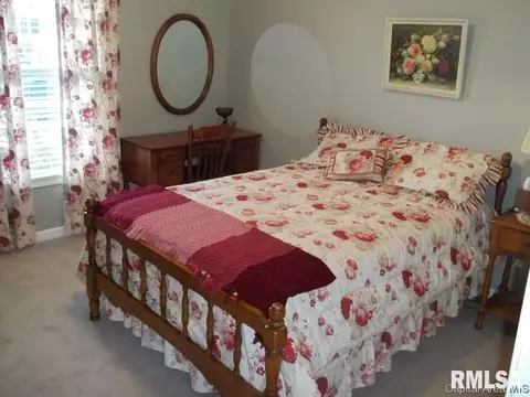 4432 Venetian, Springfield, IL 62703 photo 19