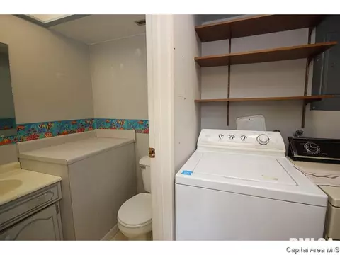49 Trailridge Ln, Springfield, IL 62704 photo 20