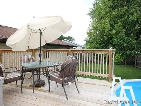 107 W Sherry Dr, Springfield, IL 62703 photo 17