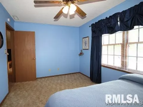 107 W Sherry Dr, Springfield, IL 62703 photo 9