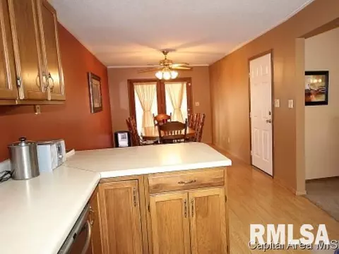 107 W Sherry Dr, Springfield, IL 62703 photo 2