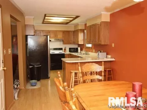107 W Sherry Dr, Springfield, IL 62703 photo 4