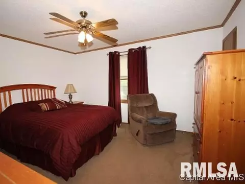 107 W Sherry Dr, Springfield, IL 62703 photo 10