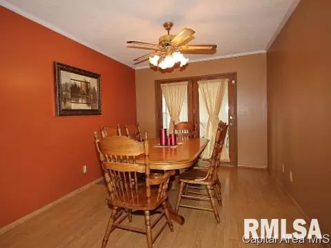 107 W Sherry Dr, Springfield, IL 62703 photo 5