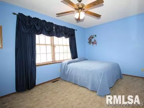 107 W Sherry Dr, Springfield, IL 62703 photo 8