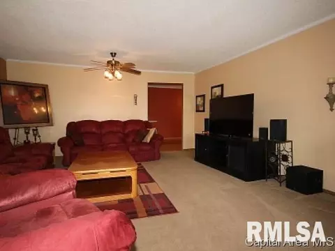 107 W Sherry Dr, Springfield, IL 62703 photo 7