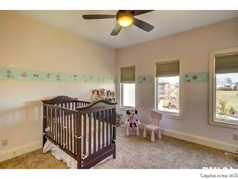 4400 Cricket Pt, Springfield, IL 62711 photo 21