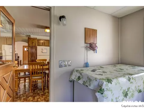 1217 N Daniels, Springfield, IL 62702 photo 17