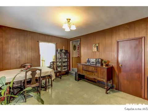 1217 N Daniels, Springfield, IL 62702 photo 16