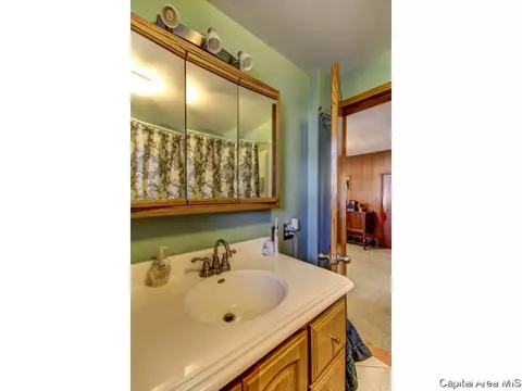 1217 N Daniels, Springfield, IL 62702 photo 29