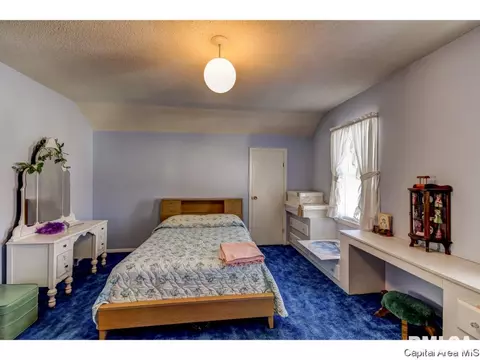 1217 N Daniels, Springfield, IL 62702 photo 19