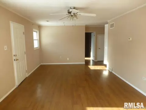 19 Fox Ct, Springfield, IL 62703 photo 3