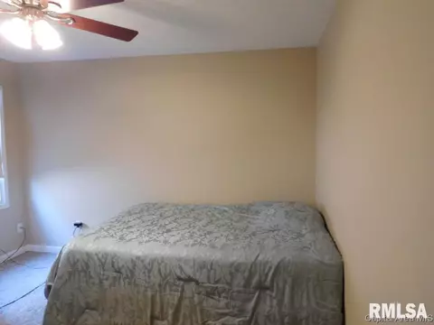 2818 Cronin Dr, Springfield, IL 62711 photo 9