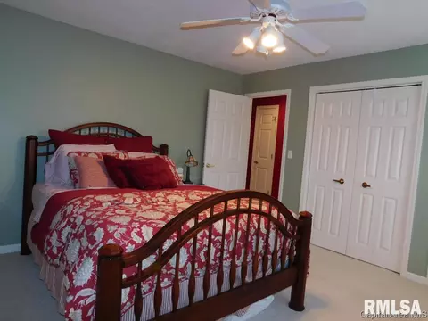 825 E Spruce St, Chatham, IL 62629 photo 25