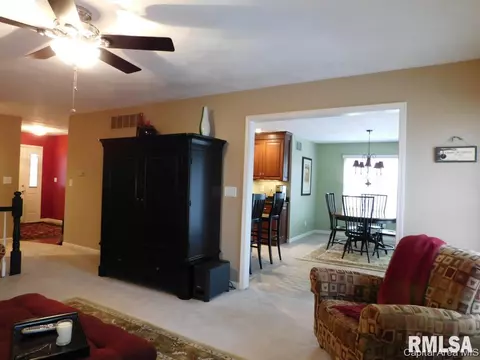 825 E Spruce St, Chatham, IL 62629 photo 9