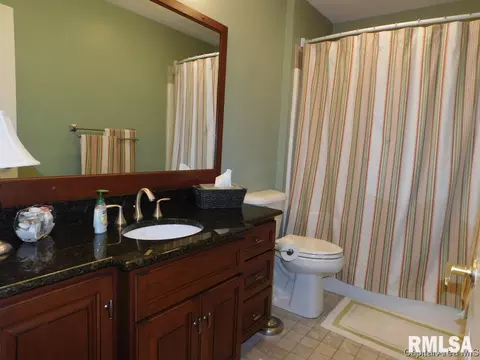 825 E Spruce St, Chatham, IL 62629 photo 24