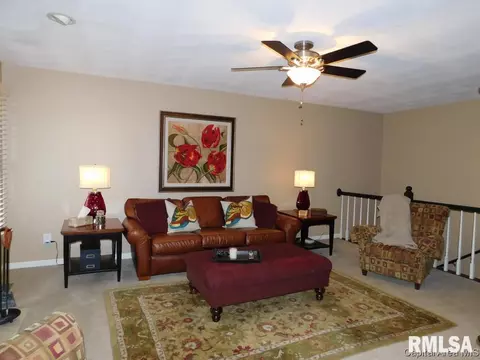825 E Spruce St, Chatham, IL 62629 photo 11