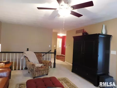 825 E Spruce St, Chatham, IL 62629 photo 10